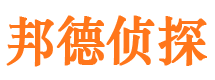 宜黄市调查公司